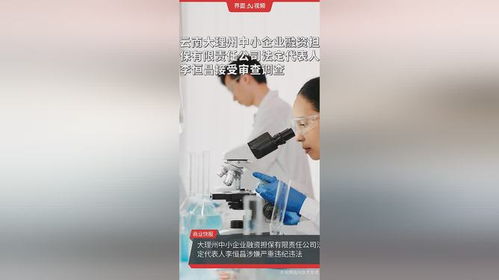 云南大理州中小企業融資擔保公司高管被查，中小企業融資生態引關注